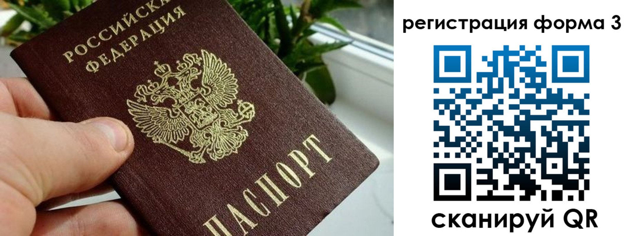 прописка штамп в Апшеронске